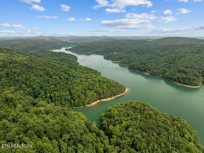 976 Livingston Boatdock Road Allons, TN 38541 - Photo 19 of 21 gedwill use 20
