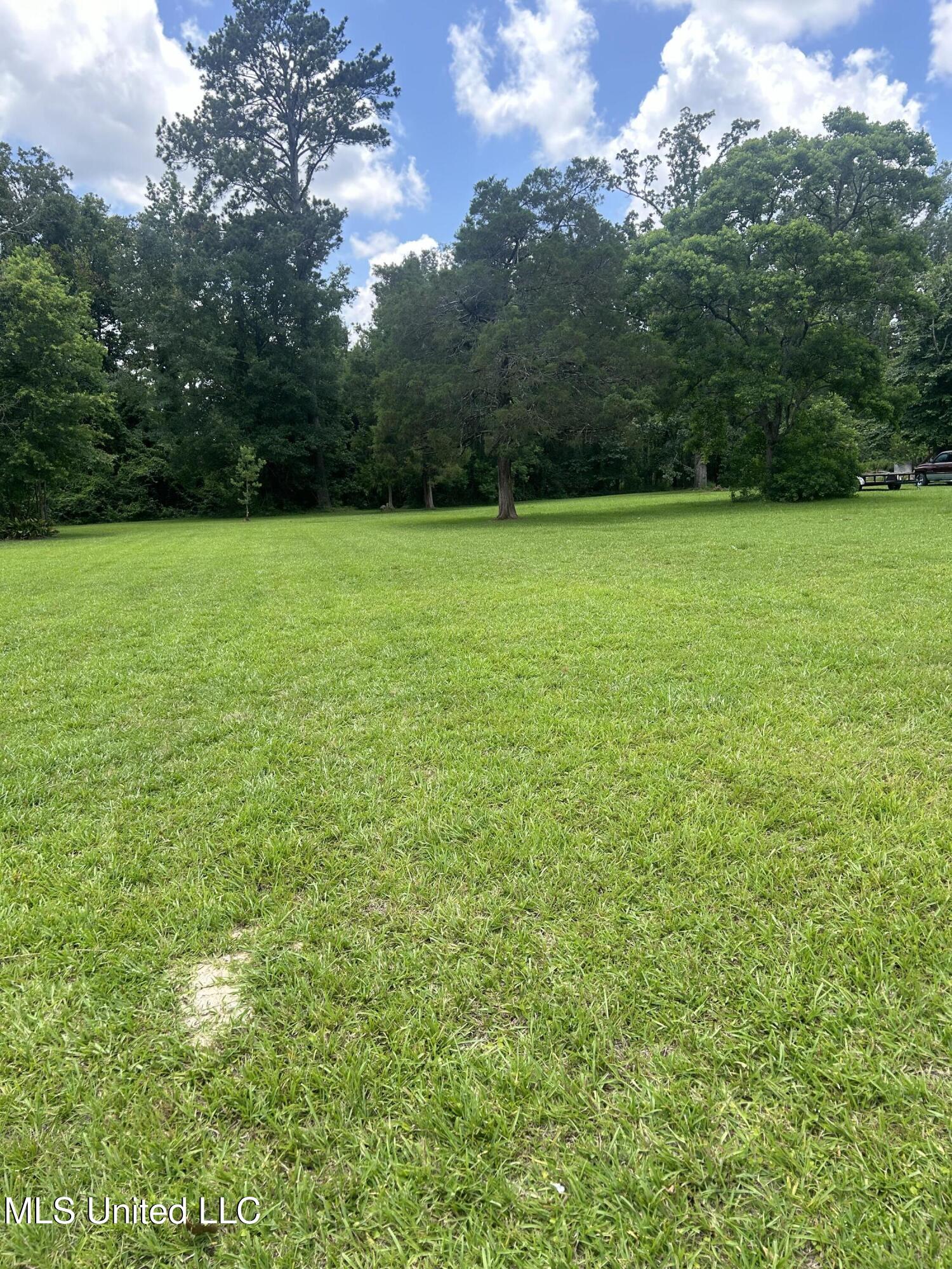 4174 Anderson Road Wesson, MS 39191 - Photo 32 of 39 IMG_2148 (3)