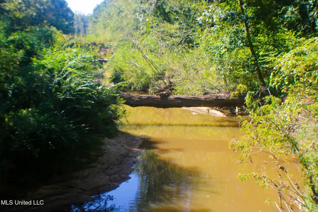 $340,000 | 4174 Anderson Road, Wesson, MS 39191