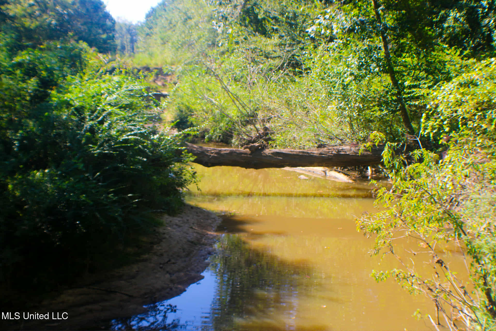 4174 Anderson Road Wesson, MS 39191 - Photo 4 of 39 att.-b07qnITY2BdLQ-qVW4MXHCj9mmqCcTJoqRQ