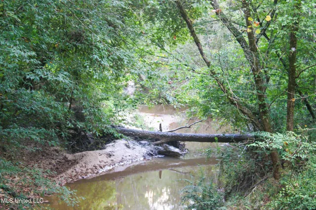 $340,000 | 4174 Anderson Road, Wesson, MS 39191