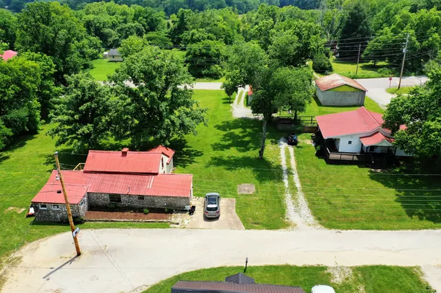 a backyard of a house with plants and large trees