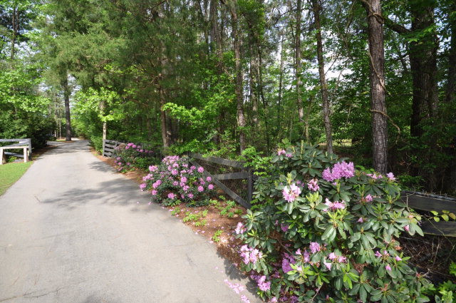 5300 Woodland Road Grovetown, GA 30813 - Photo 29 of 36 Gallery Image 29