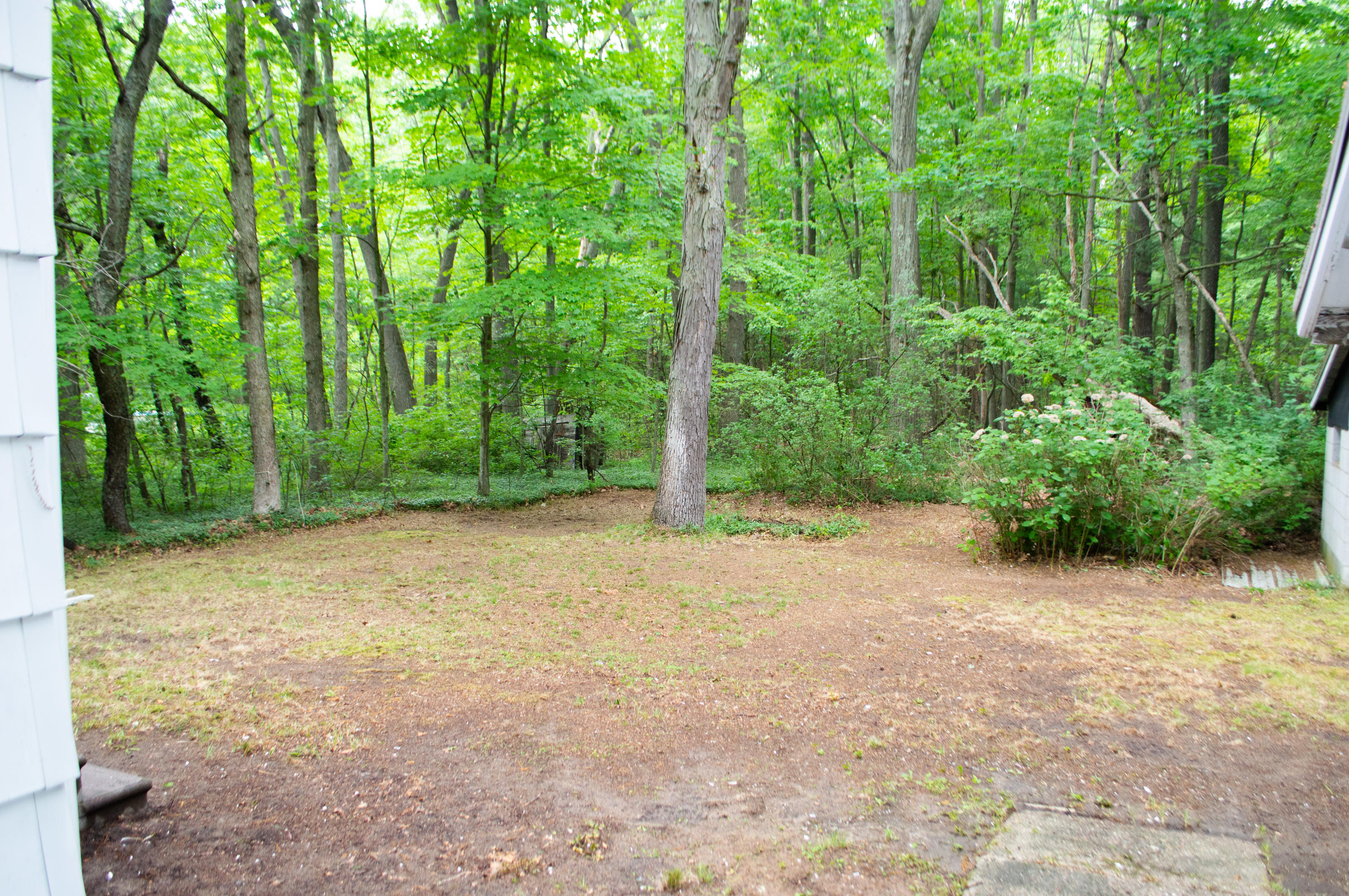 1740 Russell Road Muskegon, MI 49445 - Photo 23 of 24 Backyard