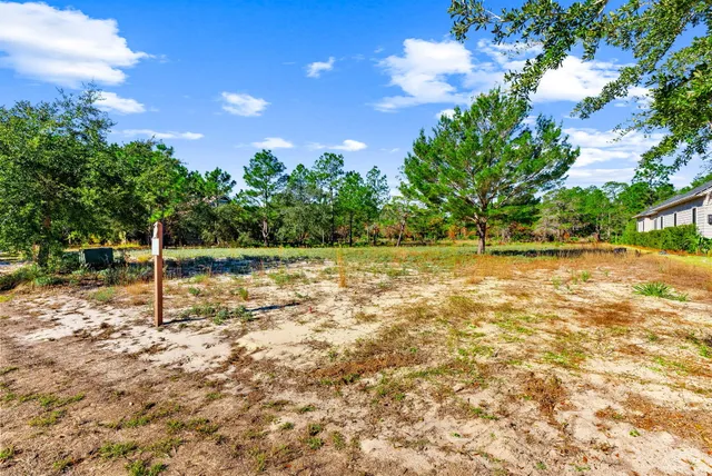 a backyard of a house with lots of green space