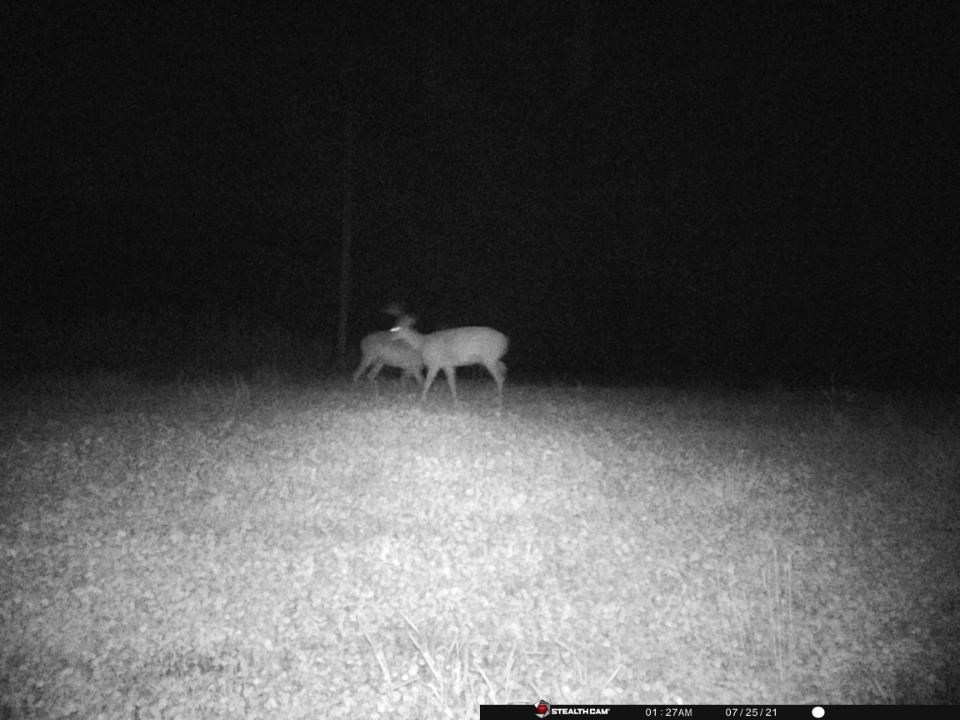 Tbd West Herrick Road Farwell, MI 48622 - Photo 7 of 7