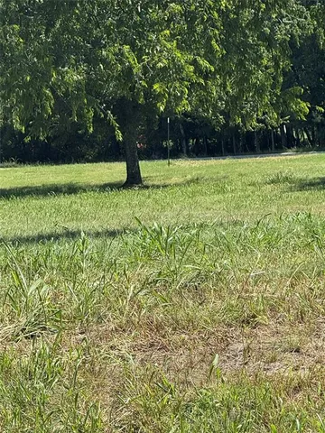a view of green field with trees in the background