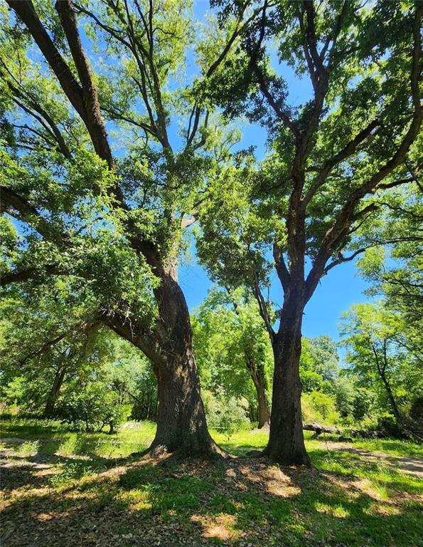 1618 North Columbia Street Covington, LA 70433 - Photo 6 of 6