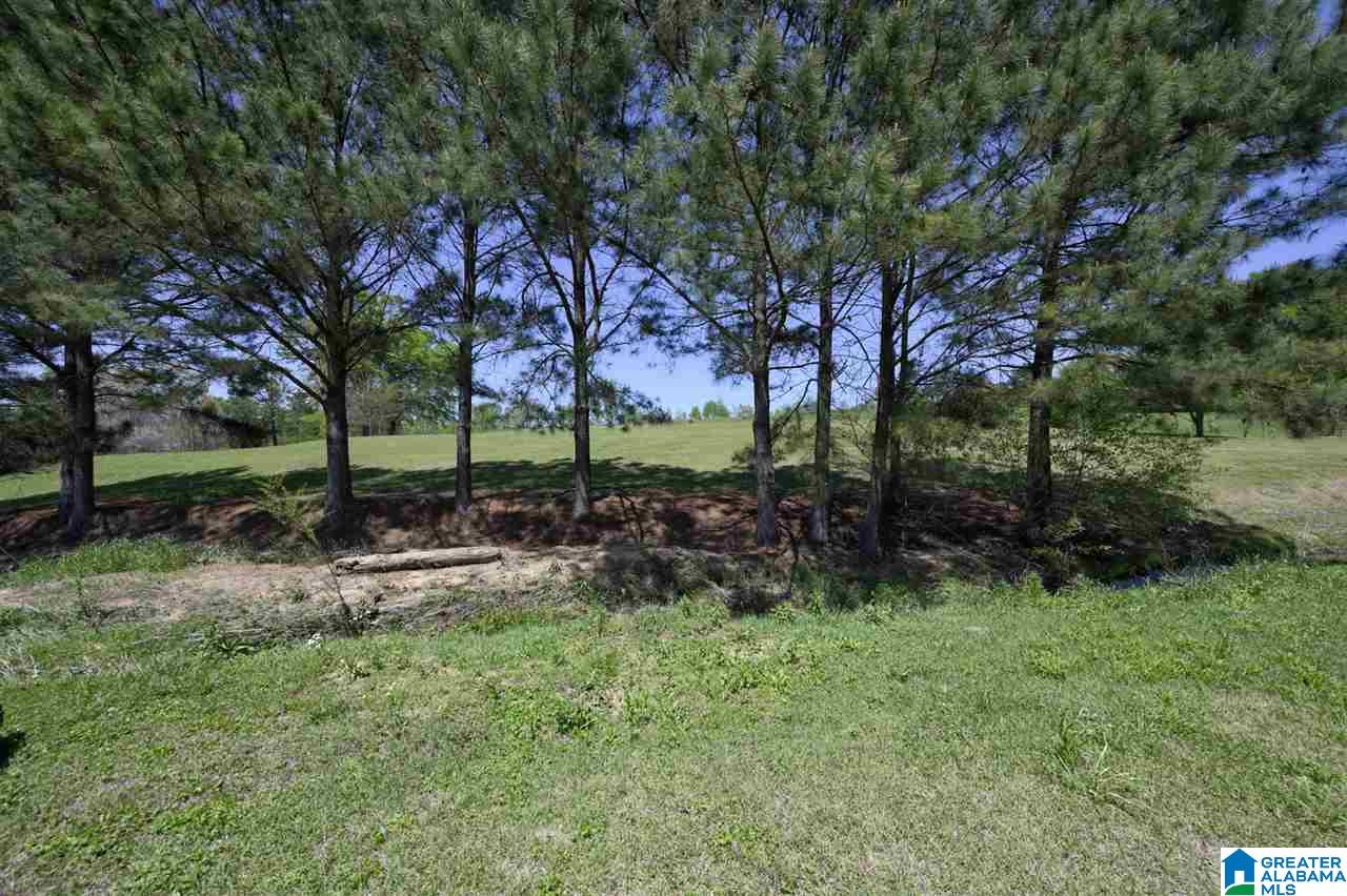 8441 Daniel Trail Dora, AL 35062 - Photo 33 of 36