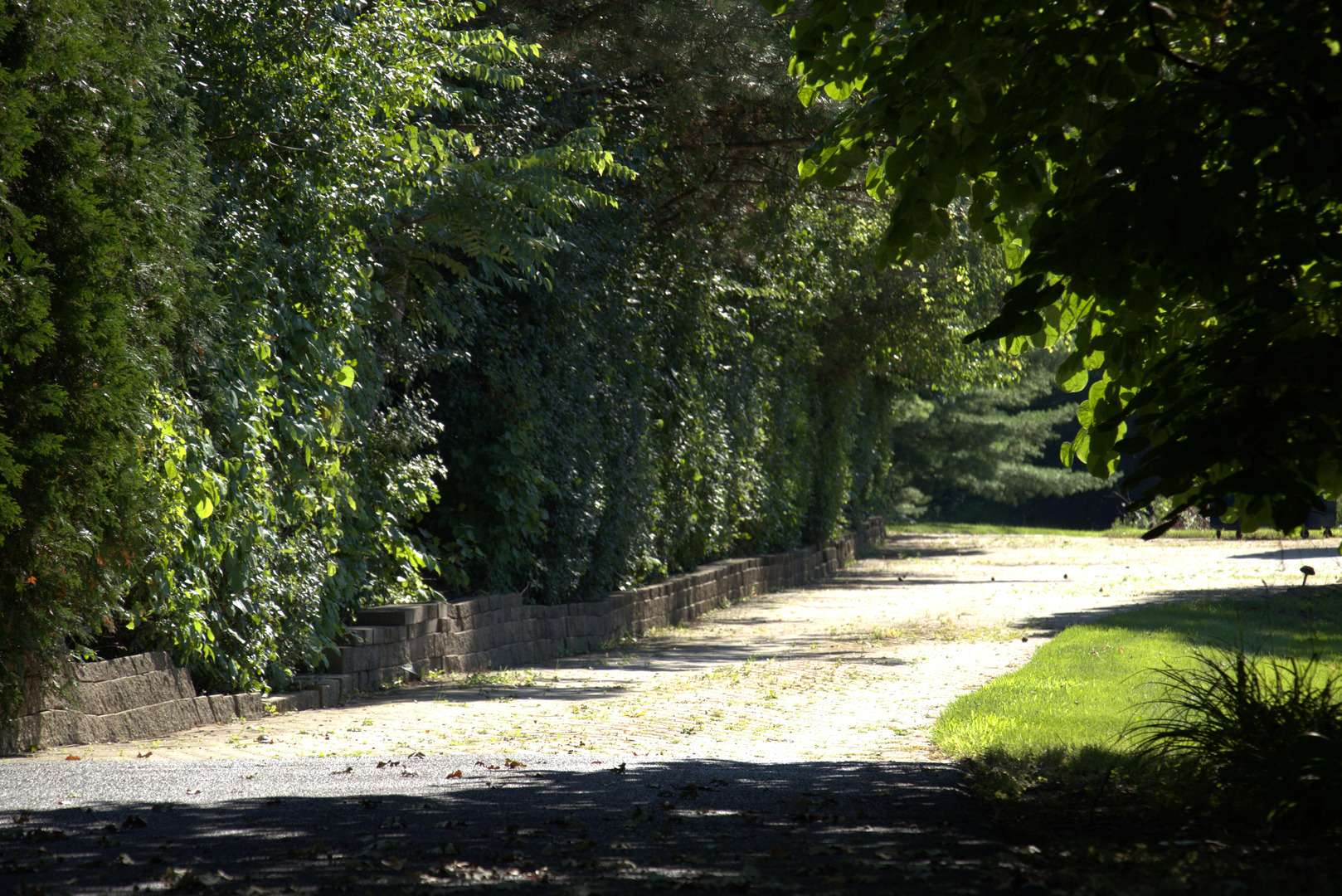 7510 East Tryon Grove Road Richmond, IL 60071 - Photo 53 of 63 a view of a yard with mountain view