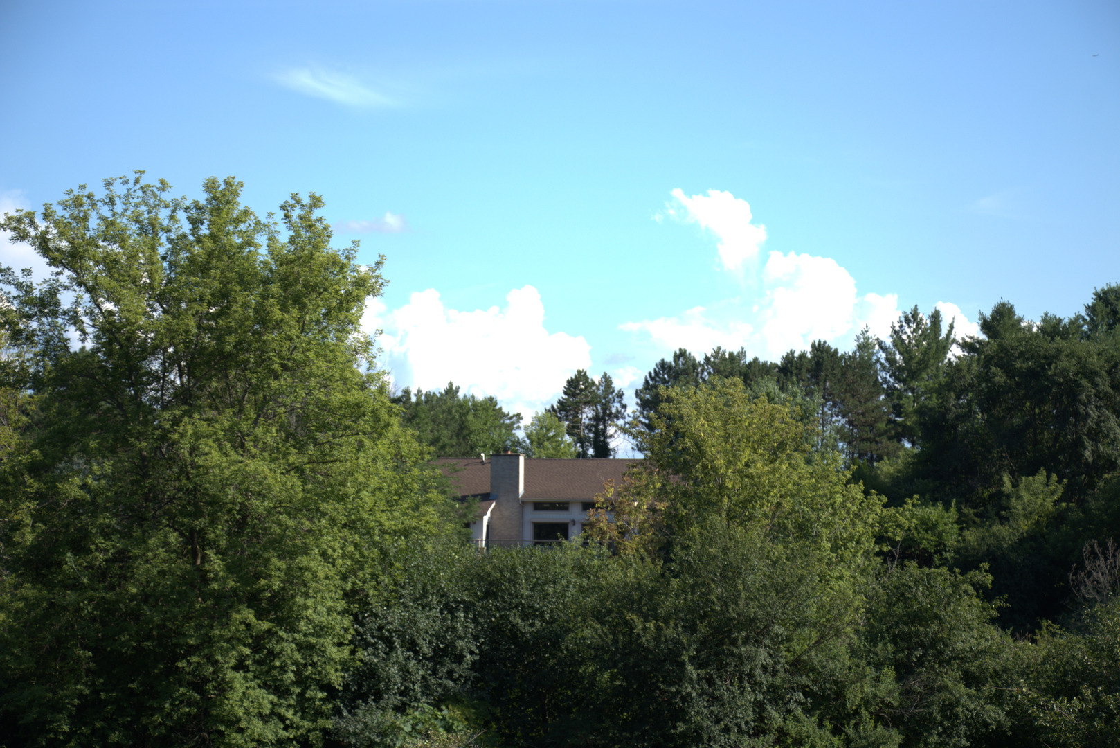 7510 East Tryon Grove Road Richmond, IL 60071 - Photo 56 of 63 a view of a flower in a garden