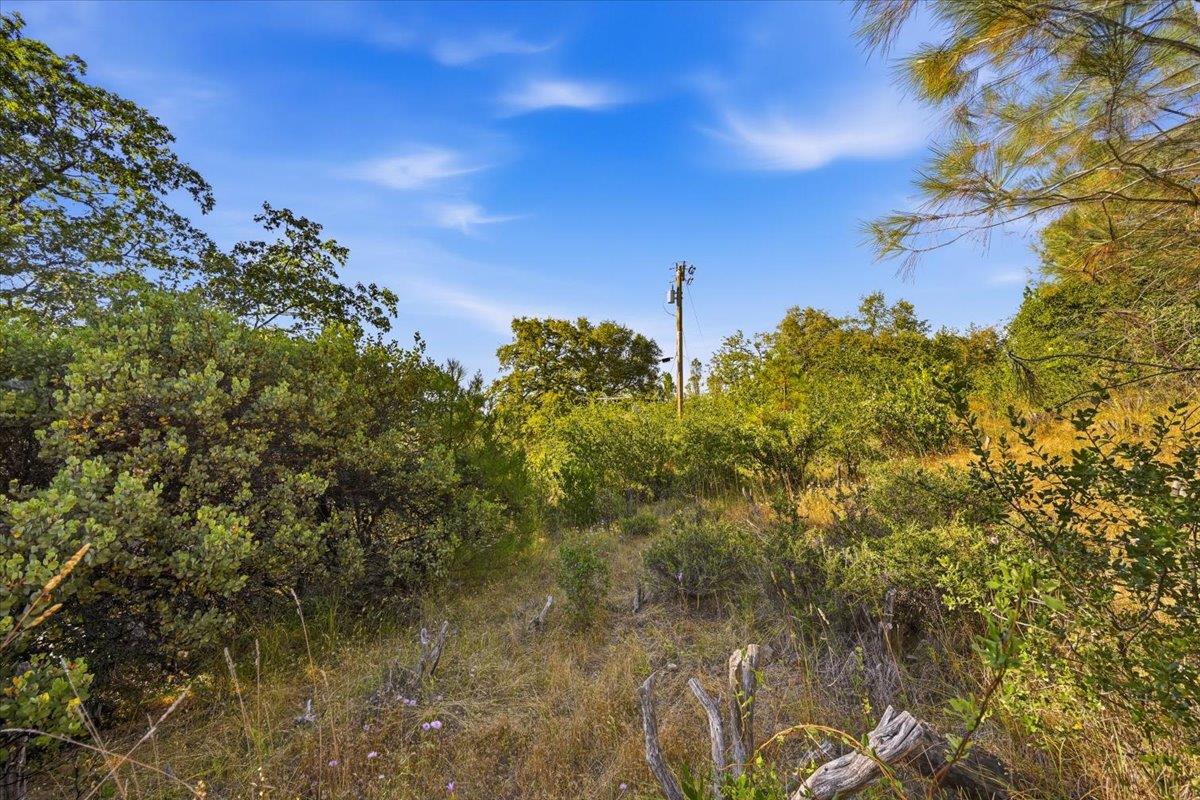 17436 Black Forest Road Penn Valley, CA 95946 - Photo 26 of 36