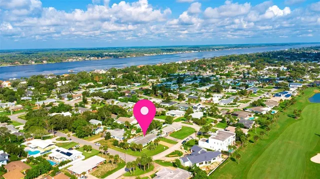 a palm tree sitting in front of a house with a big yard