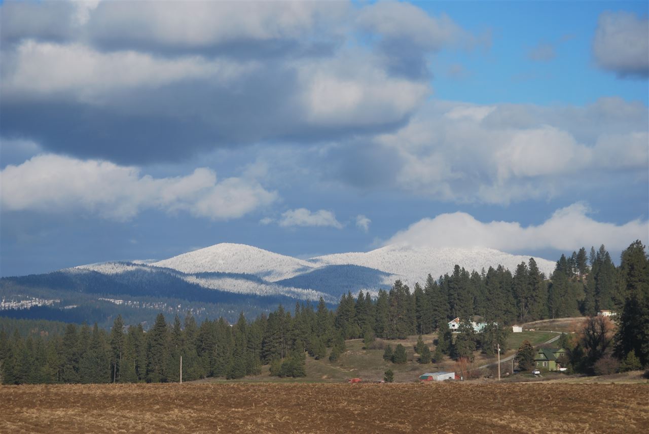 11107 East Kronquist Road Mead, WA 99021 - Photo 19 of 20