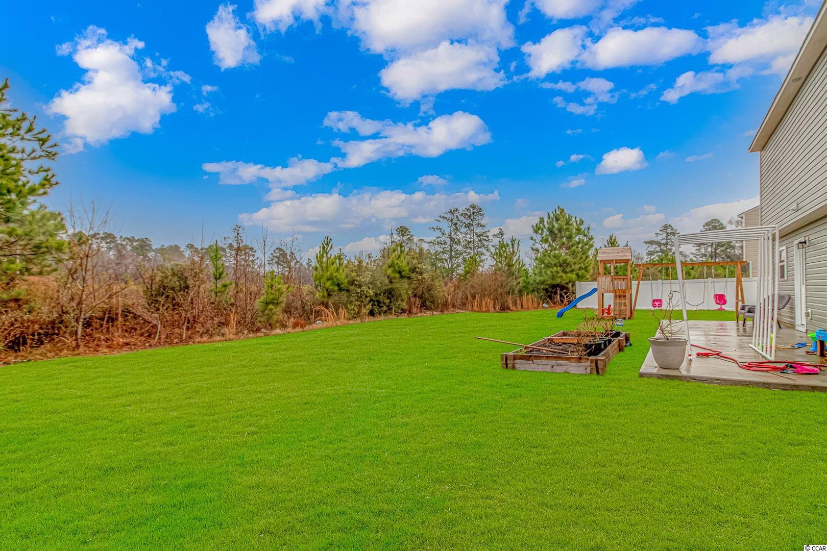 780 Trap Shooter Circle Longs, SC 29568 - Photo 19 of 20