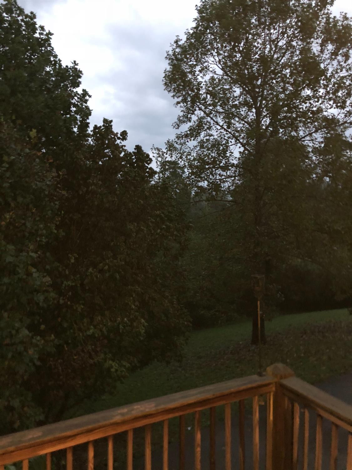 2790 Bethy Road London, KY 40744 - Photo 9 of 24 Photo 9
