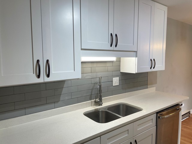 880 East Old Willow Road, Unit 166 Prospect Heights, IL 60070 - Photo 2 of 16