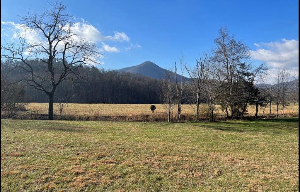 11 Katy Hollar Rd. Road Sevierville, TN 37862 - Photo 6 of 17