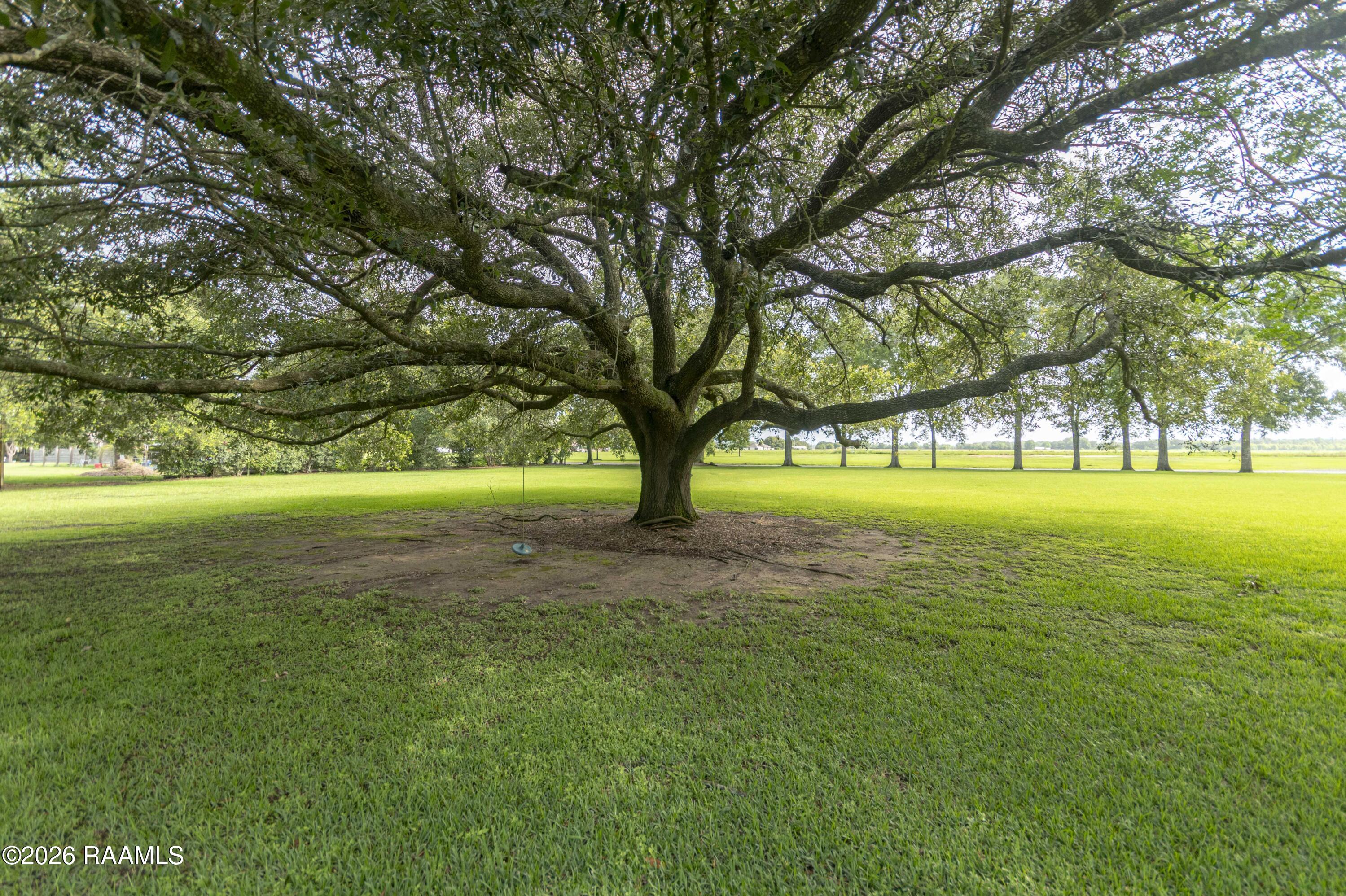 11022 Anthony Road Abbeville, LA 70510 - Photo 37 of 44