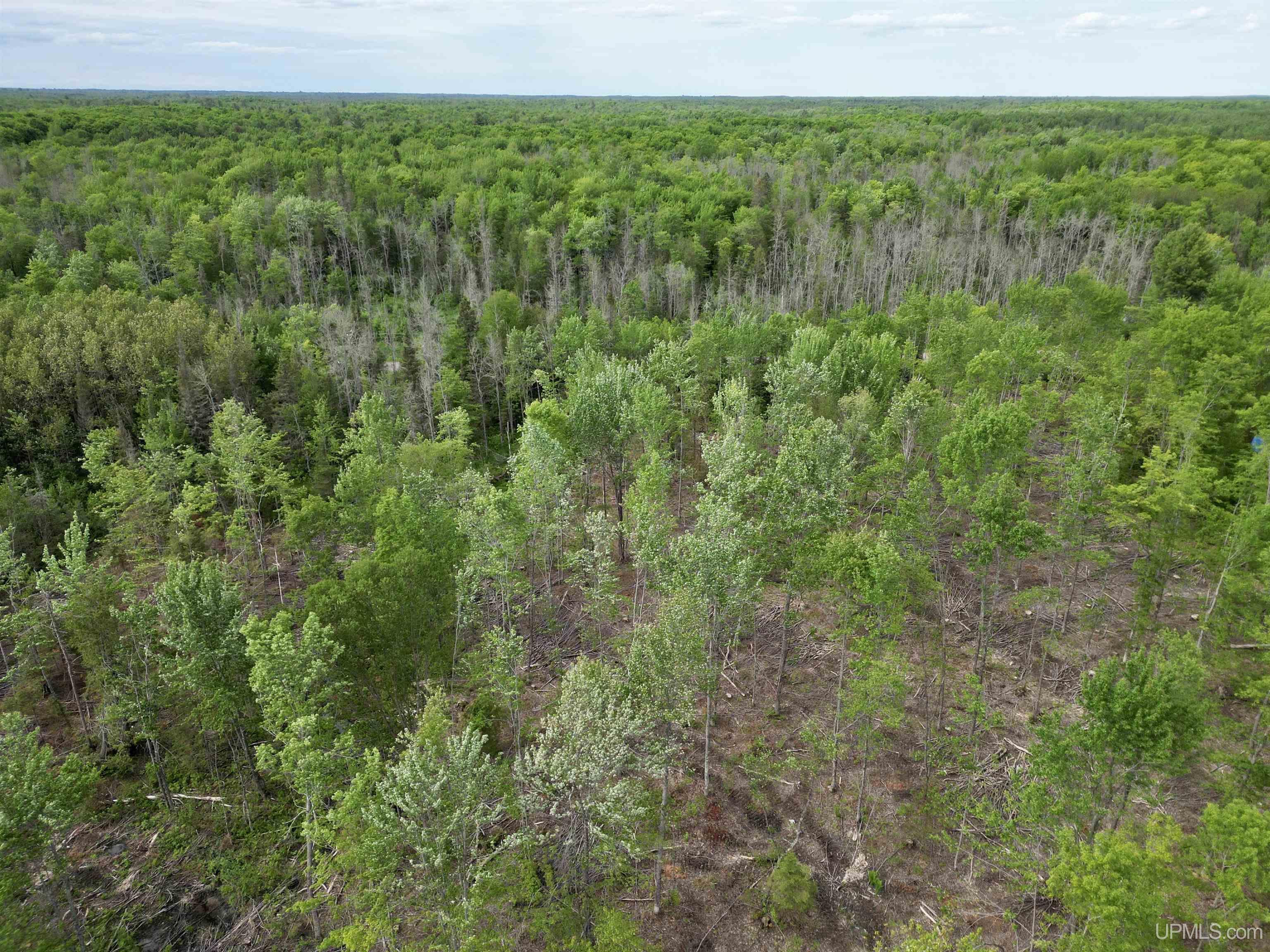 3601 Cr444 Road Rock, MI 49880 - Photo 63 of 78