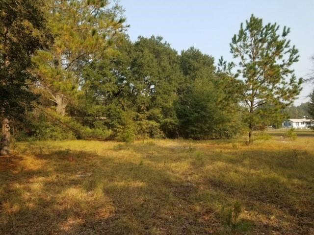 5886 Scott White Road Hollywood, SC 29449 - Photo 1 of 3 White Scott 1