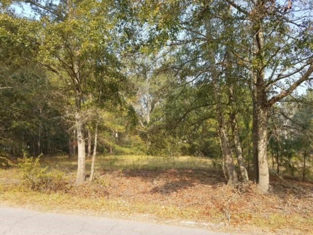5886 Scott White Road Hollywood, SC 29449 - Photo 2 of 3 White Scott 2