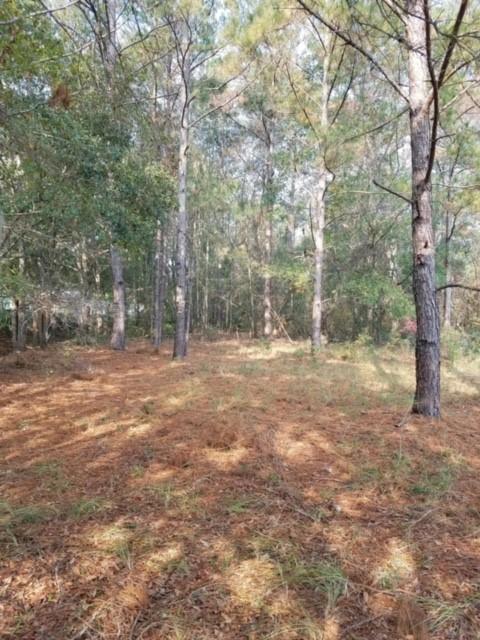 5886 Scott White Road Hollywood, SC 29449 - Photo 3 of 3 White Scott