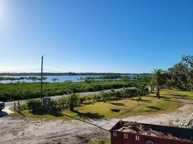 a view of a garden with a tree in the background
