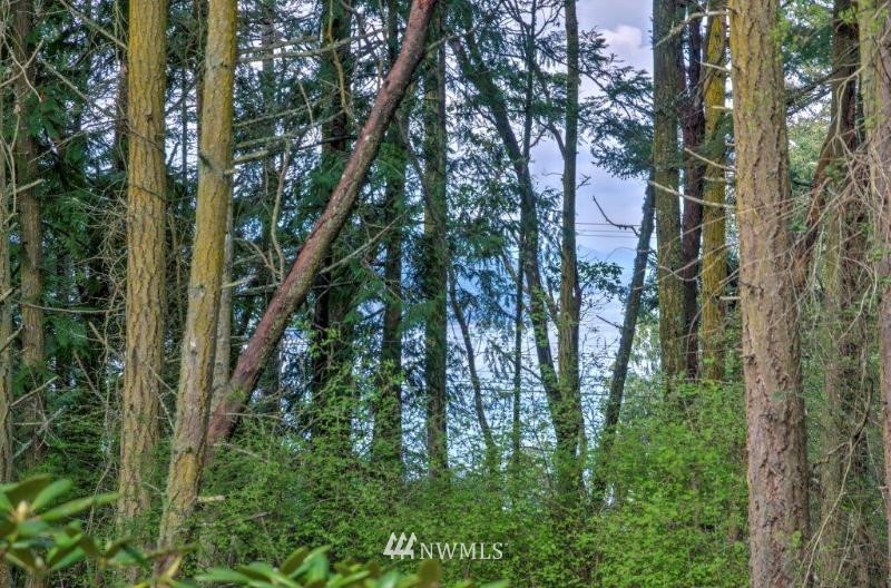 2881 Cape George Road Port Townsend, WA 98368 - Photo 23 of 25 Gallery Image 23