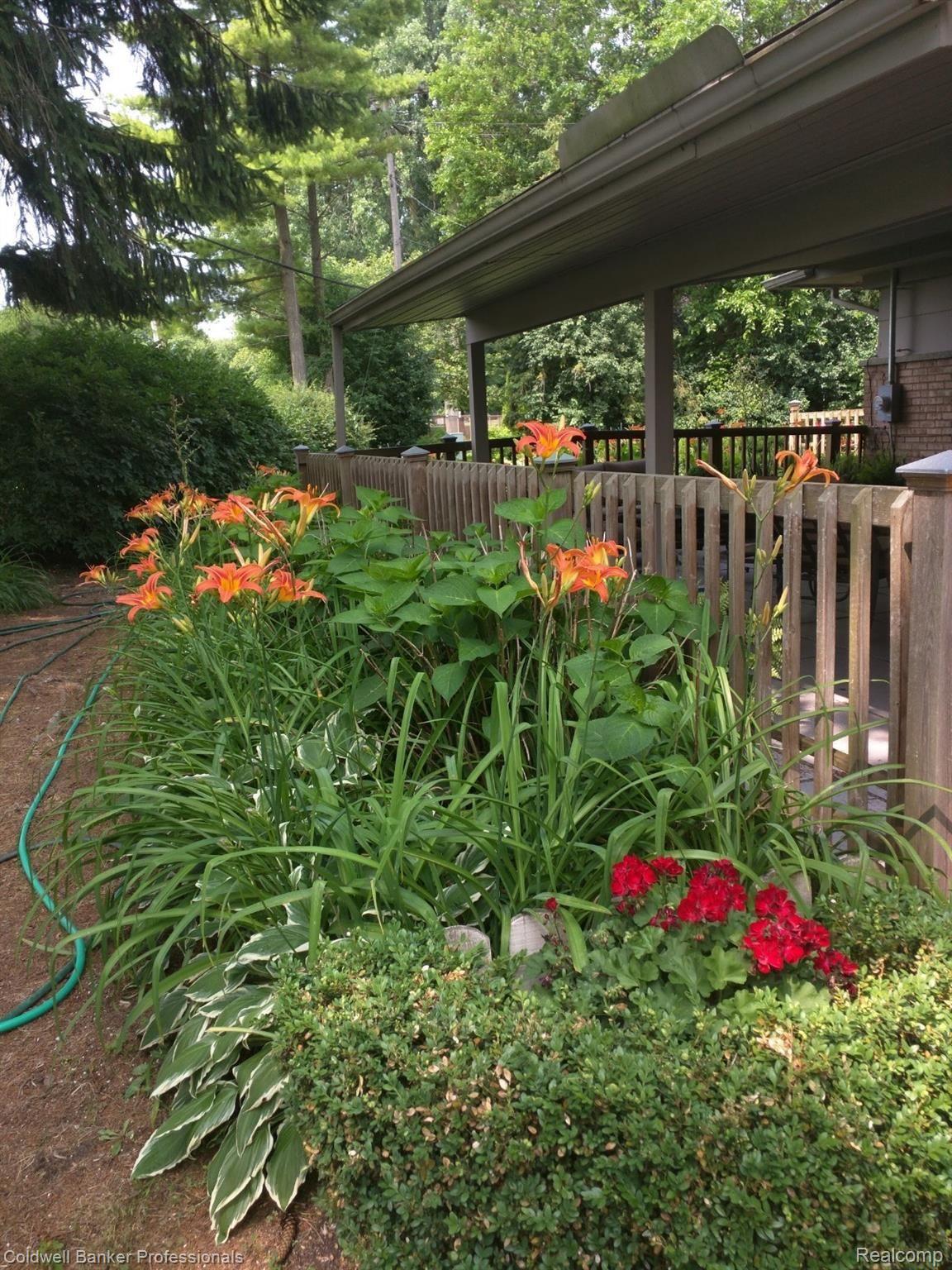 800 South Cranbrook Road Bloomfield Hills, MI 48301 - Photo 38 of 38 Daylily Garden By Patio