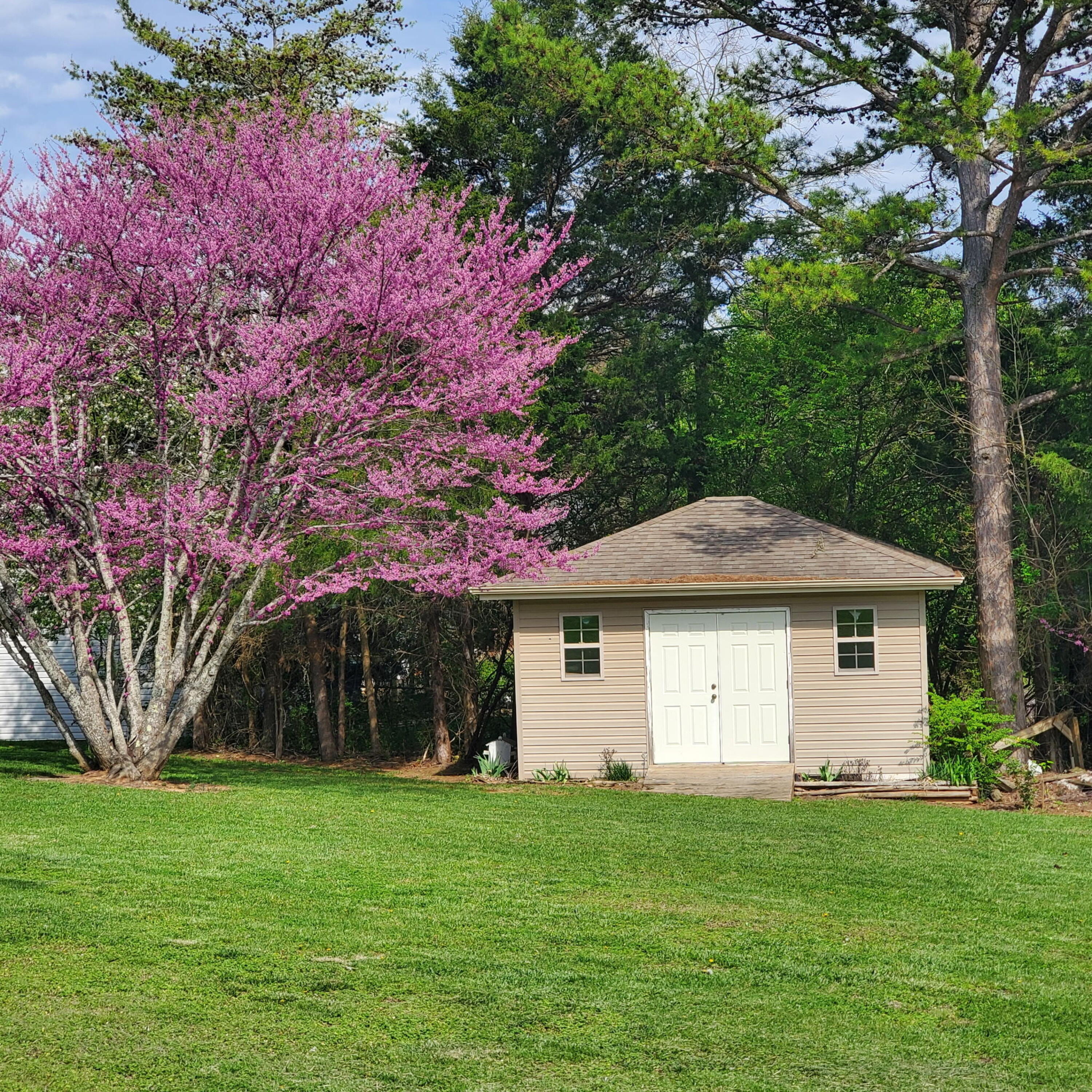 291 Forest Ridge Circle Bronston, KY 42518 - Photo 16 of 93 af707527-cf56-48e1-9622-6f76ebe55c08-1_a
