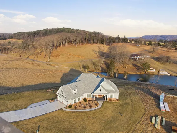 a view of a dining room with furniture a potted plant and wooden floor