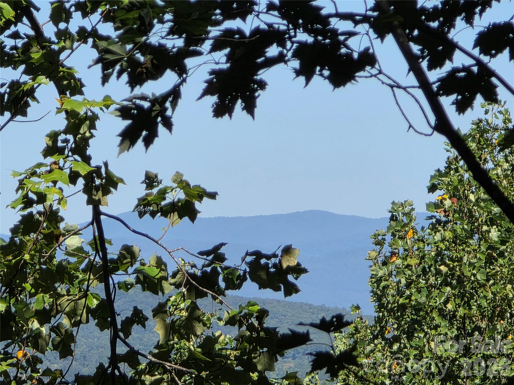 19 Meditation Rdg Dr Extension Nebo, NC 28761 - Photo 3 of 30 Gallery Image 3