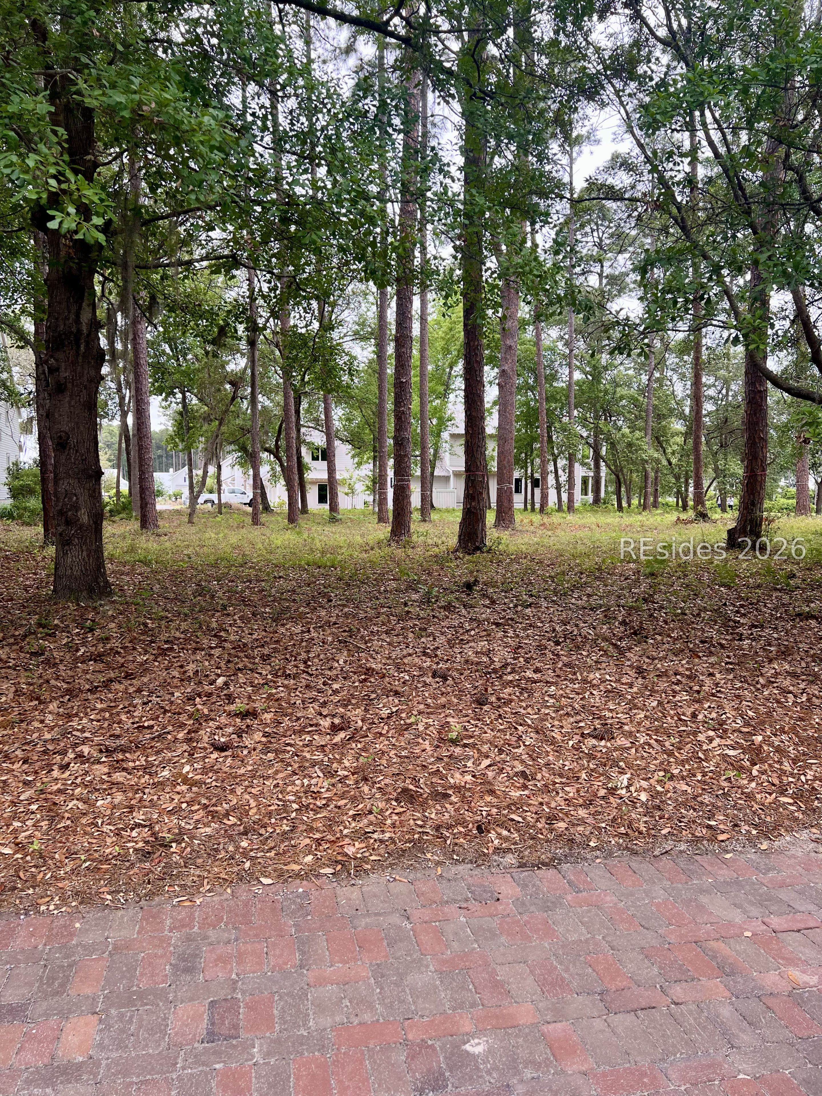 36 Red Knot Road Bluffton, SC 29910 - Photo 3 of 13