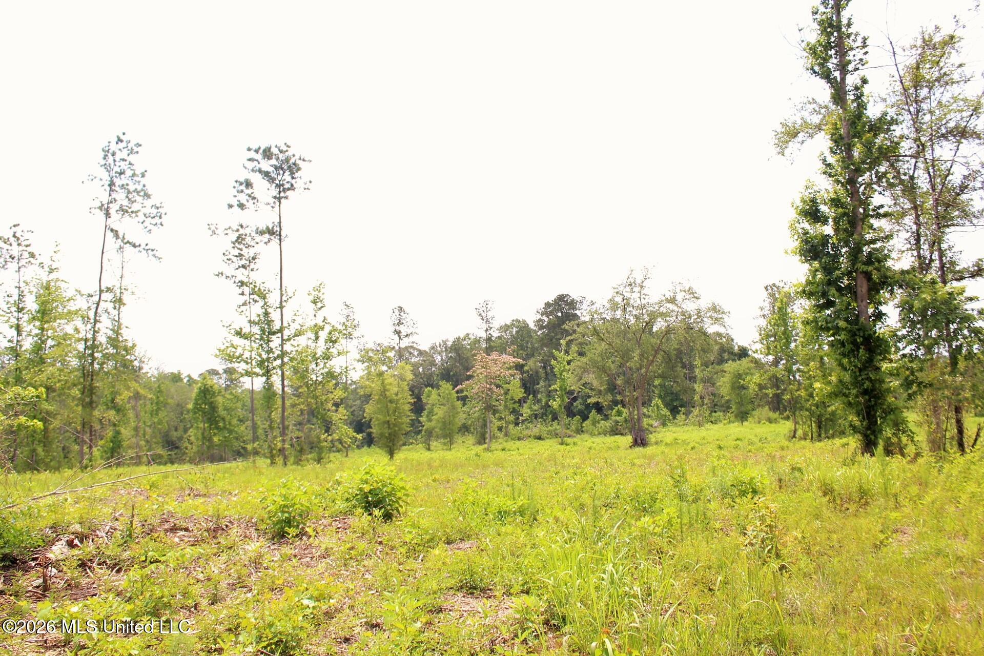 24.48-ac River Road Lucedale, MS 39452 - Photo 17 of 19 IMG_3939