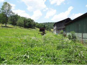 4445 Island Road Bristol, TN 37620 - Photo 9 of 22 pasture to left