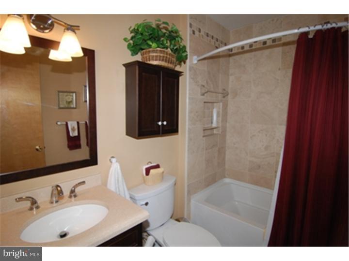 11 Marie Drive Sinking Spring, PA 19608 - Photo 11 of 19 Bathroom