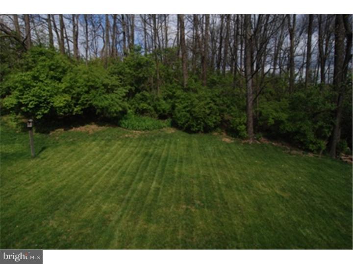 11 Marie Drive Sinking Spring, PA 19608 - Photo 16 of 19 Back Yard