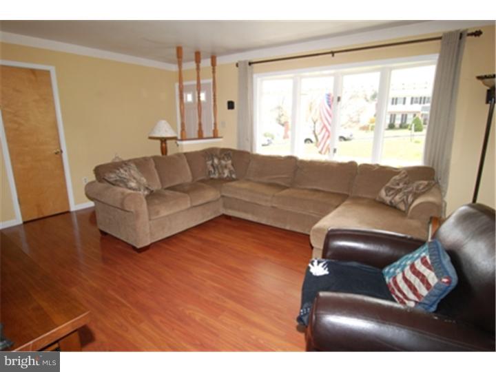 11 Marie Drive Sinking Spring, PA 19608 - Photo 3 of 19 Living Room