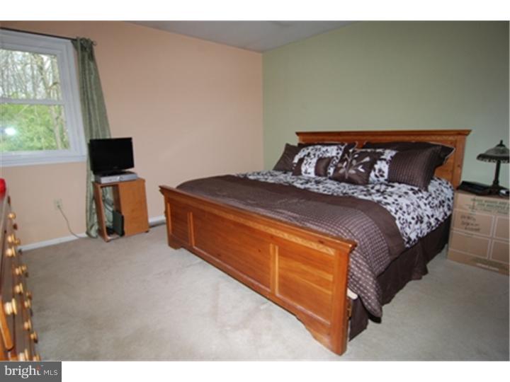 11 Marie Drive Sinking Spring, PA 19608 - Photo 7 of 19 Master Bedroom