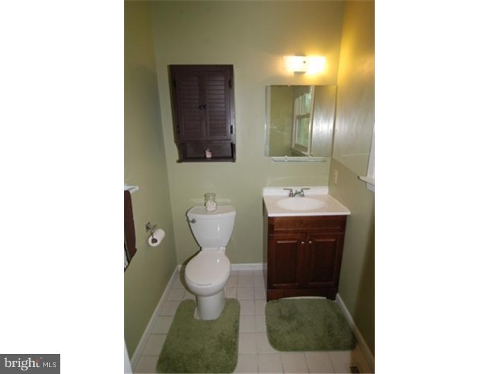 11 Marie Drive Sinking Spring, PA 19608 - Photo 8 of 19 Master Bathroom