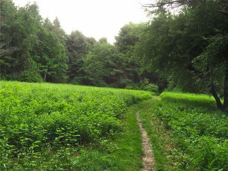 78 Varney Road Freeport, ME 04032 - Photo 20 of 22 Other. More views of the trails. You...