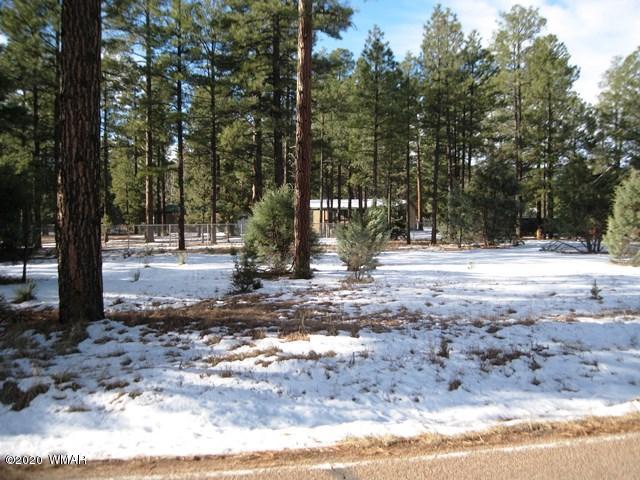 2874 Pine Rim Road Overgaard, AZ 85933 - Photo 1 of 3 a view of road with trees