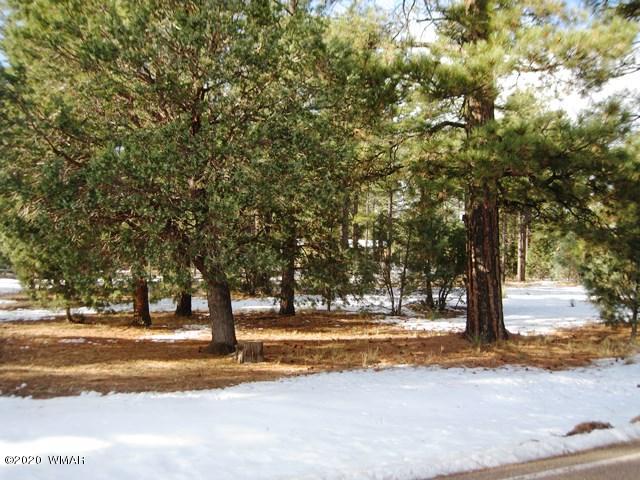 2874 Pine Rim Road Overgaard, AZ 85933 - Photo 2 of 3 a view of street with trees