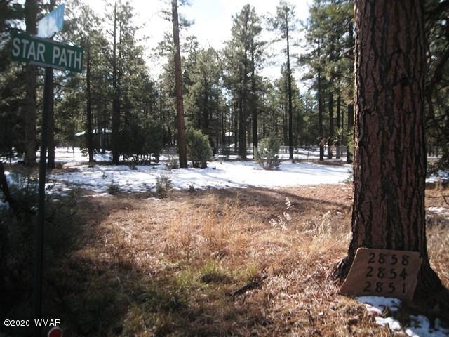 2874 Pine Rim Road Overgaard, AZ 85933 - Photo 3 of 3 a view of a yard with trees in the background