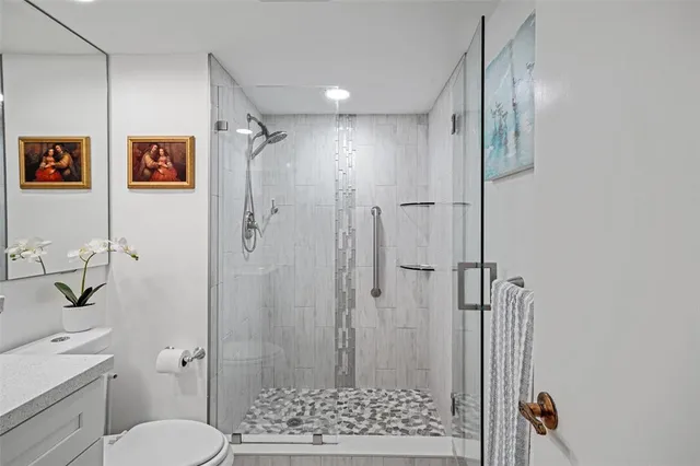 a bathroom with a shower and a toilet