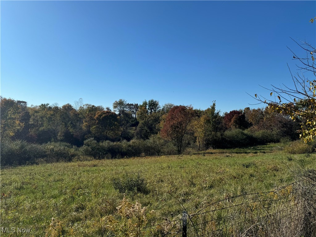 1935 Flint Ridge Road Hopewell, OH 43746 - Photo 32 of 33 View of landscape