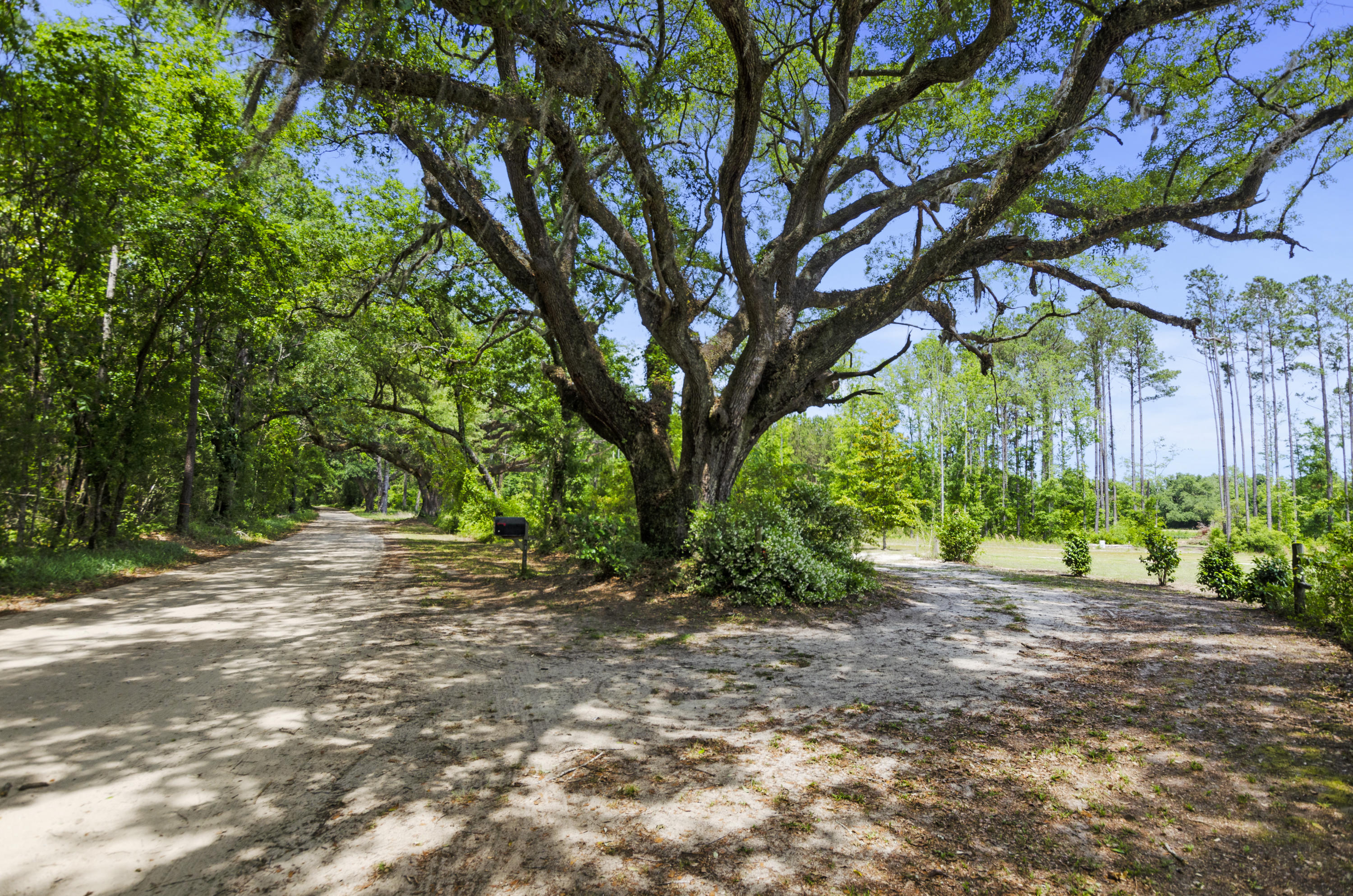 8725 Old Georgetown Road McClellanville, SC 29458 - Photo 7 of 42 a2a