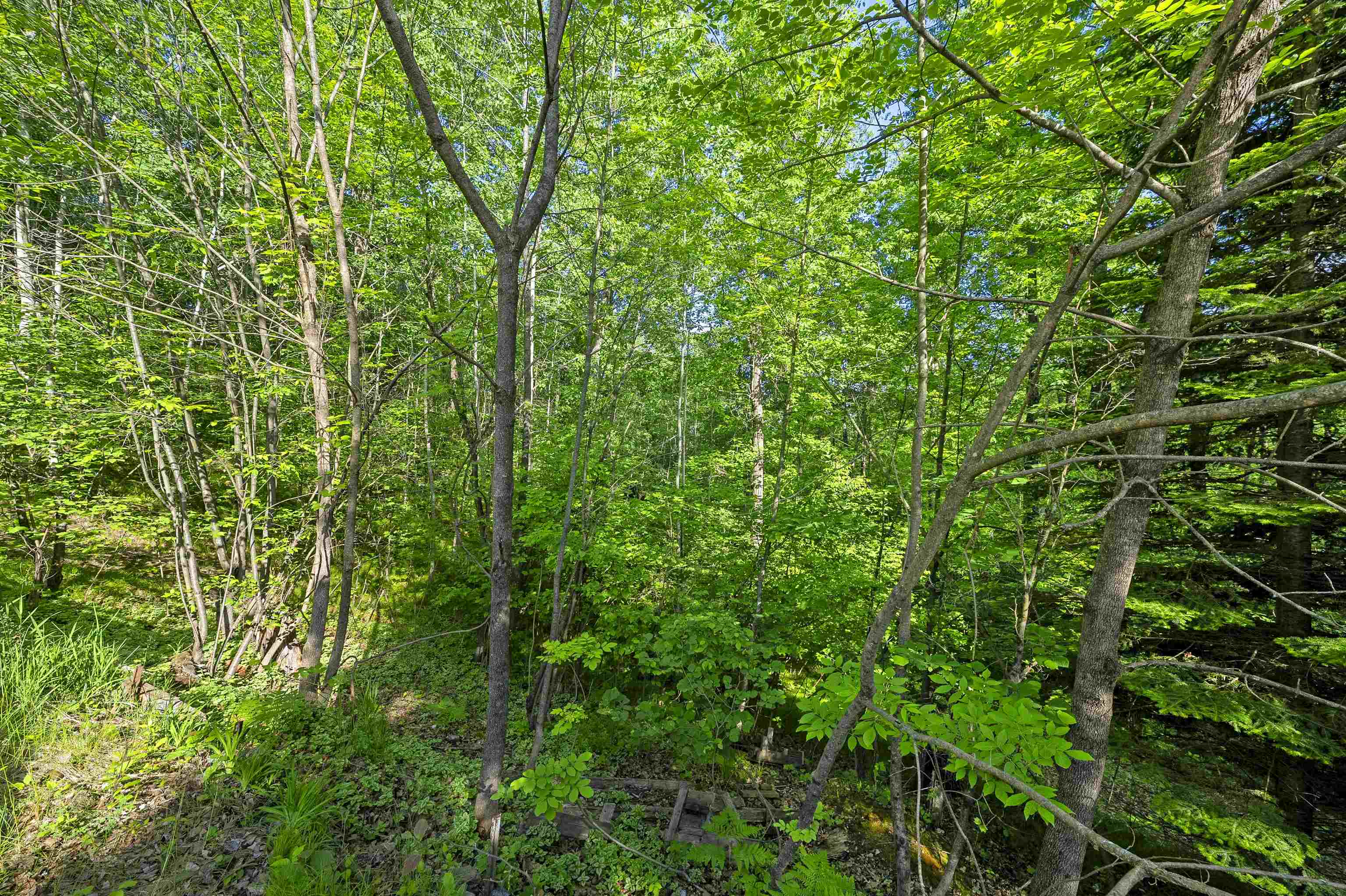 N12184 Long Lake Road Wausaukee, WI 54177 - Photo 47 of 62
