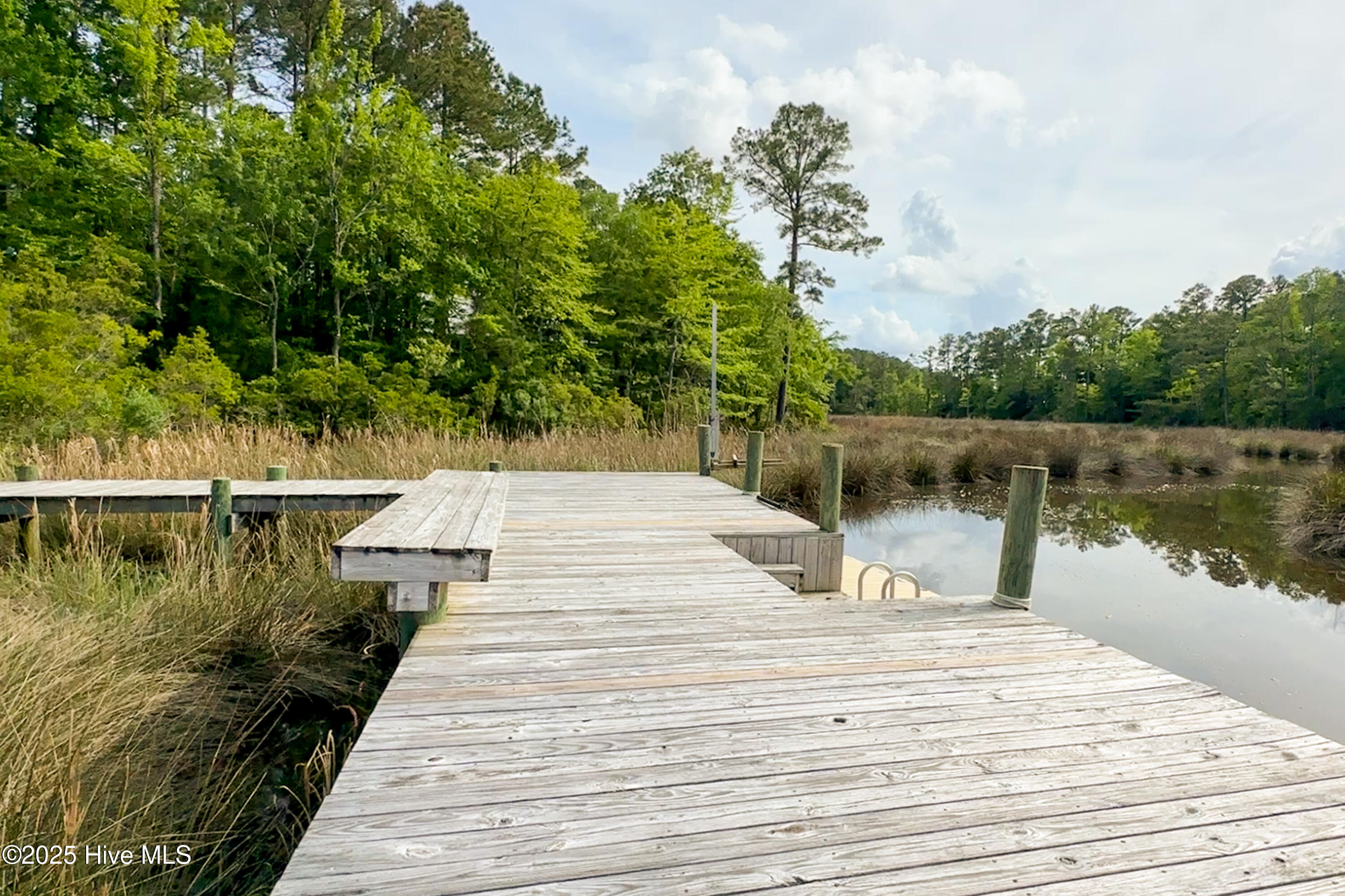 1054 Mill Creek Road Minnesott Beach, NC 28510 - Photo 13 of 13 Arlington Place